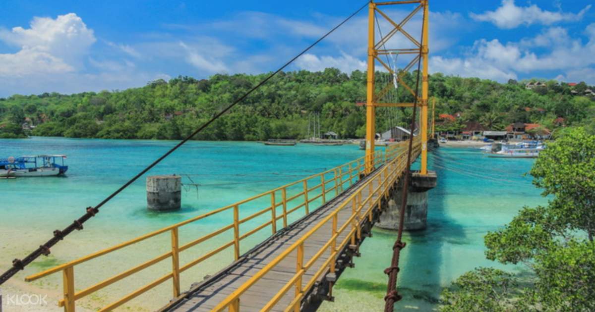 mangrove snorkeling nusa lembongan